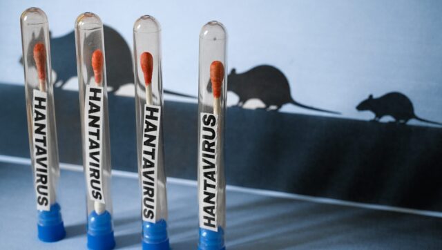 is-hantavirus-contagious?-outbreak-updates,-treatment-information-&-mortality-rate
