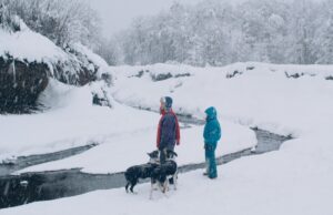 In ‘The Meltdown,’ Dark Truths Are Lurking Underneath the Snow (Exclusive Cannes Clip) in-‘the-meltdown,’-dark-truths-are-lurking-underneath-the-snow-(exclusive-cannes-clip)