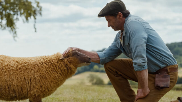 how-grieving-my-mom-led-to-‘the-sheep-detectives’ how-grieving-my-mom-led-to-‘the-sheep-detectives’