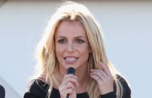 Britney Spears Accusing of Chaotic Dinner & britney-spears-accusing-of-chaotic-dinner-&